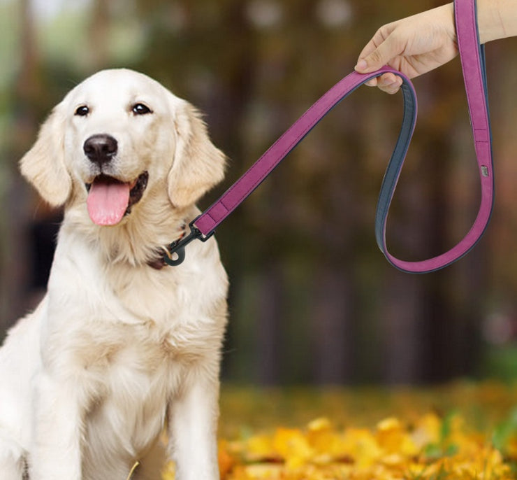 Pet Dog Leash Pull-resistant